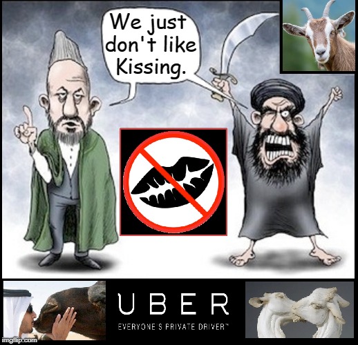 Uber Official Statement | We just don't like Kissing. | image tagged in vince vance,cab drivers,uber,lesbians,lbgtq,discrimination | made w/ Imgflip meme maker