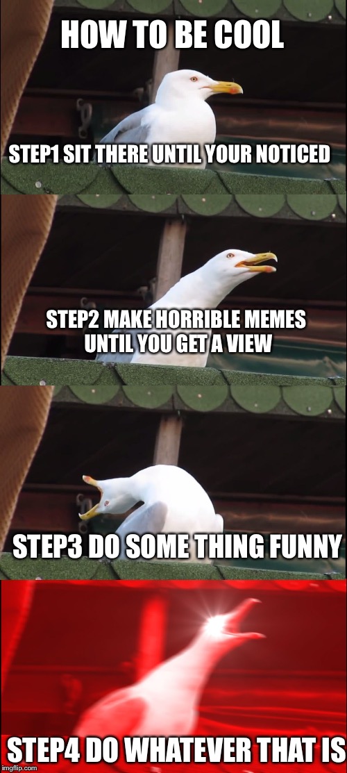 How to be cool  | HOW TO BE COOL; STEP1 SIT THERE UNTIL YOUR NOTICED; STEP2 MAKE HORRIBLE MEMES UNTIL YOU GET A VIEW; STEP3 DO SOME THING FUNNY; STEP4 DO WHATEVER THAT IS | image tagged in memes,inhaling seagull,funny | made w/ Imgflip meme maker