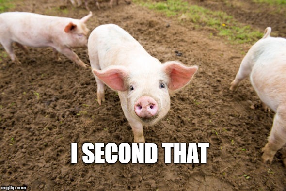 Bacon early stages | I SECOND THAT | image tagged in bacon early stages | made w/ Imgflip meme maker