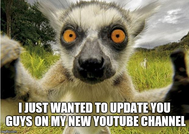 Vlogger siting | I JUST WANTED TO UPDATE YOU GUYS ON MY NEW YOUTUBE CHANNEL | image tagged in selfi animal | made w/ Imgflip meme maker