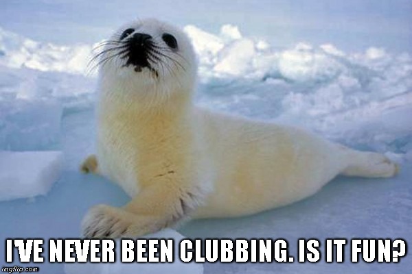 Clubbing | I'VE NEVER BEEN CLUBBING. IS IT FUN? | image tagged in baby seal,clubbing | made w/ Imgflip meme maker