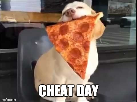 Workout day 2 | CHEAT DAY | image tagged in pizza spirit animal | made w/ Imgflip meme maker