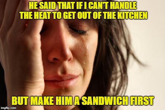 First World Problems Meme | HE SAID THAT IF I CAN'T HANDLE THE HEAT TO GET OUT OF THE KITCHEN; BUT MAKE HIM A SANDWICH FIRST | image tagged in memes,first world problems | made w/ Imgflip meme maker