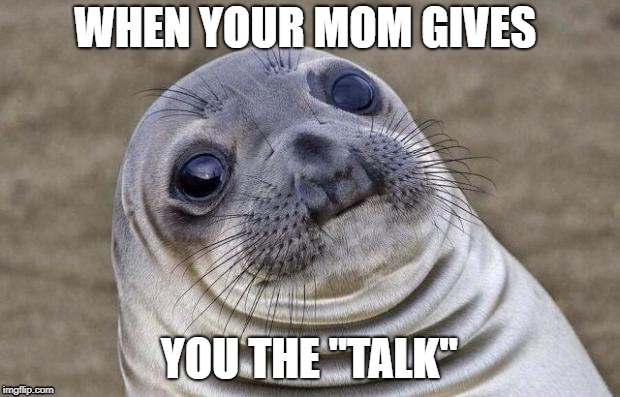 Awkward Moment Sealion Meme | WHEN YOUR MOM GIVES; YOU THE "TALK" | image tagged in memes,awkward moment sealion | made w/ Imgflip meme maker