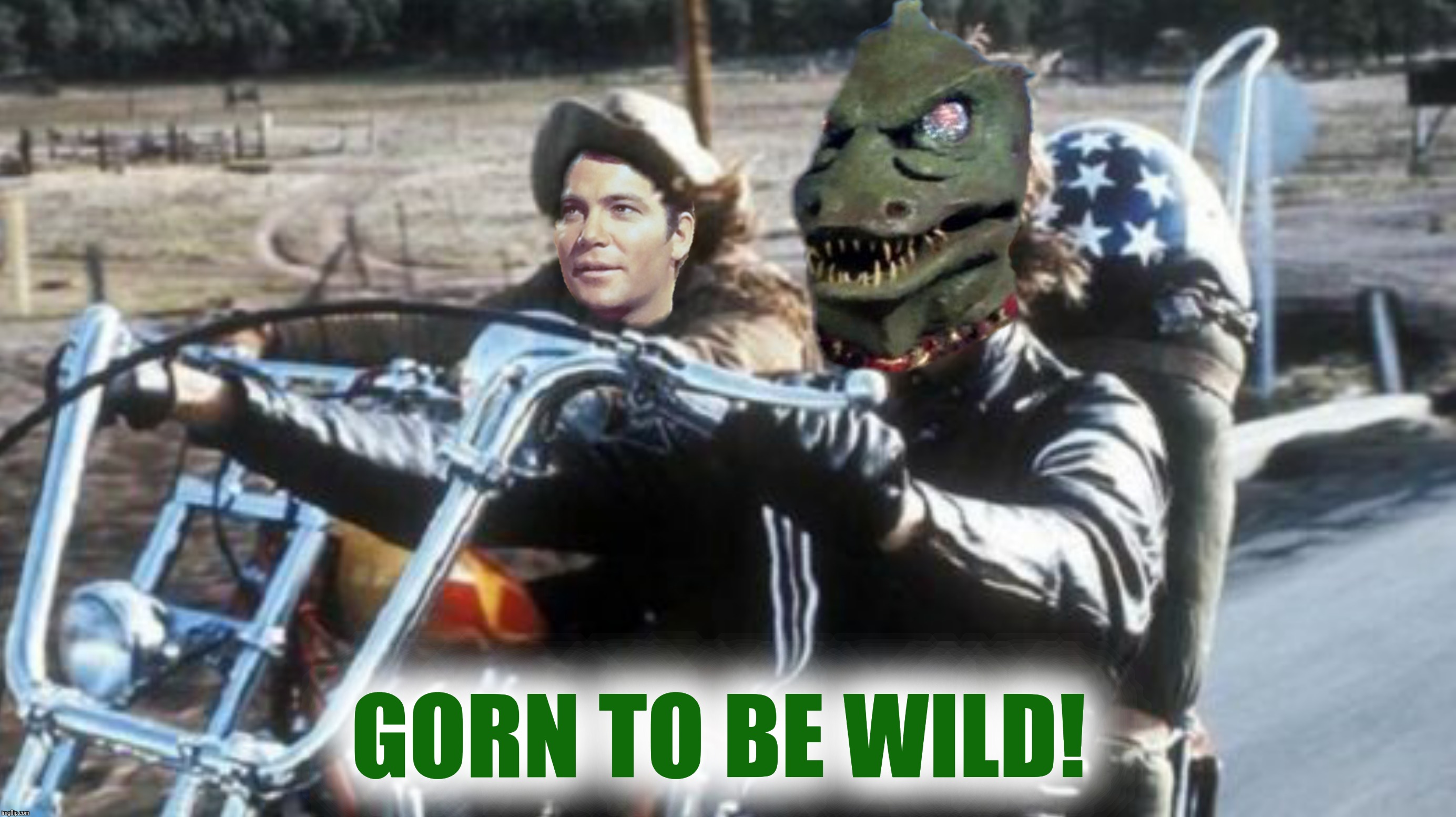 Get your motor running.  Bad Photoshop Sunday meets Aliens Week, an Aliens and clinkster event.  6/12 - 6/19 | GORN TO BE WILD! | image tagged in bad photoshop sunday,aliens week,easy rider,gorn,captain kirk,star trek | made w/ Imgflip meme maker