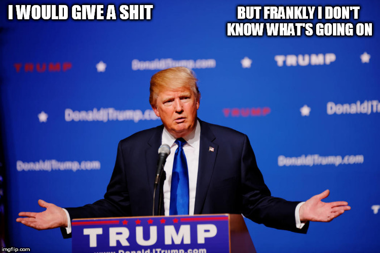 BUT FRANKLY I DON'T KNOW WHAT'S GOING ON; I WOULD GIVE A SHIT | image tagged in trump | made w/ Imgflip meme maker
