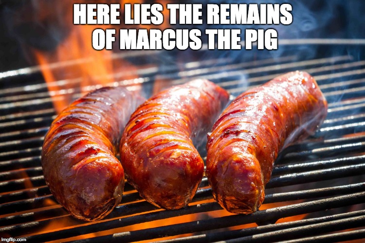 sausage | HERE LIES THE REMAINS OF MARCUS THE PIG | image tagged in sausage | made w/ Imgflip meme maker