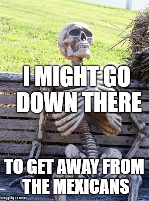 Waiting Skeleton Meme | I MIGHT GO DOWN THERE TO GET AWAY FROM THE MEXICANS | image tagged in memes,waiting skeleton | made w/ Imgflip meme maker