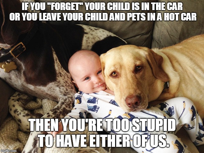 IF YOU "FORGET" YOUR CHILD IS IN THE CAR OR YOU LEAVE YOUR CHILD AND PETS IN A HOT CAR; THEN YOU'RE TOO STUPID TO HAVE EITHER OF US. | image tagged in bad parents | made w/ Imgflip meme maker