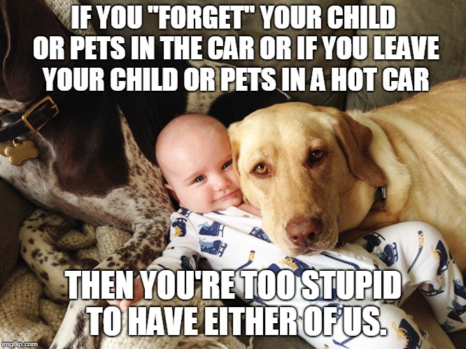 IF YOU "FORGET" YOUR CHILD OR PETS IN THE CAR OR IF YOU LEAVE YOUR CHILD OR PETS IN A HOT CAR; THEN YOU'RE TOO STUPID TO HAVE EITHER OF US. | image tagged in scumbag parents | made w/ Imgflip meme maker