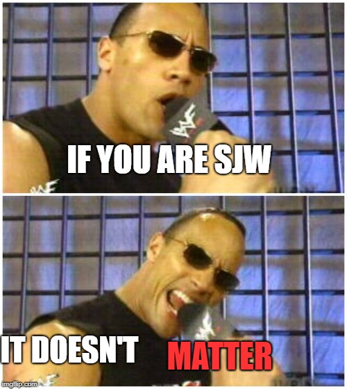 The Rock It Doesn't Matter | IF YOU ARE SJW; IT DOESN'T; MATTER | image tagged in memes,the rock it doesnt matter | made w/ Imgflip meme maker