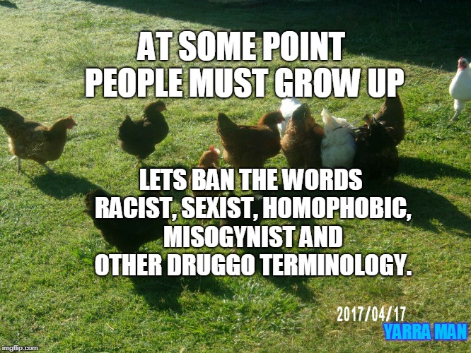 Whingers ban | AT SOME POINT PEOPLE MUST GROW UP; LETS BAN THE WORDS RACIST, SEXIST, HOMOPHOBIC, MISOGYNIST AND OTHER DRUGGO TERMINOLOGY. YARRA MAN | image tagged in whingers ban | made w/ Imgflip meme maker