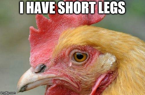 I HAVE SHORT LEGS | made w/ Imgflip meme maker