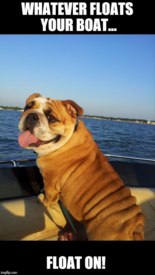 Float On! | WHATEVER FLOATS YOUR BOAT... FLOAT ON! | image tagged in memes,motivation,dogs | made w/ Imgflip meme maker