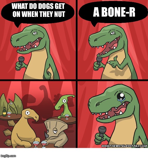 Bone-r lol | WHAT DO DOGS GET ON WHEN THEY NUT; A BONE-R | image tagged in t rex standup comedy crying,boners,memes,adult humor,dogs,bones | made w/ Imgflip meme maker