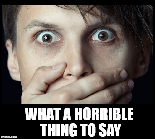 oh my | WHAT A HORRIBLE THING TO SAY | image tagged in oh my | made w/ Imgflip meme maker