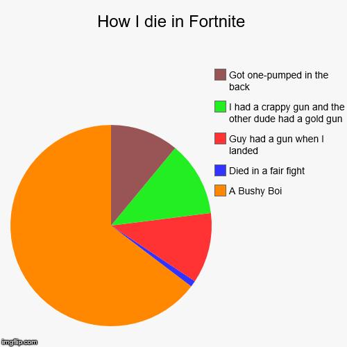 How I die in Fortnite | A Bushy Boi, Died in a fair fight, Guy had a gun when I landed, I had a crappy gun and the other dude had a gold gun | image tagged in funny,pie charts | made w/ Imgflip chart maker