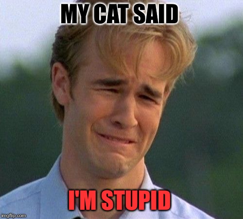 MY CAT SAID I'M STUPID | made w/ Imgflip meme maker