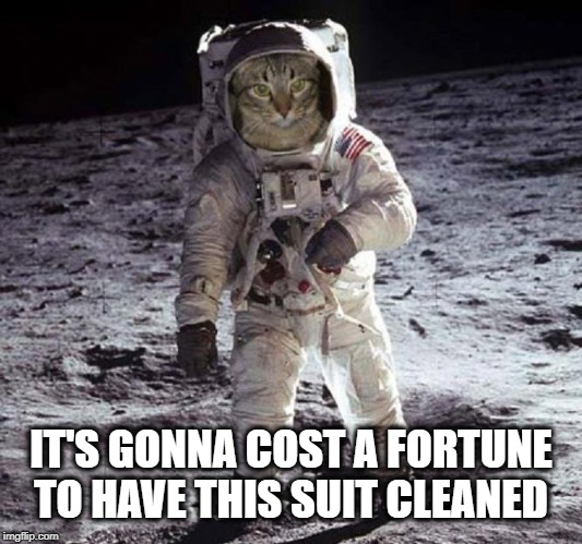 IT'S GONNA COST A FORTUNE TO HAVE THIS SUIT CLEANED | image tagged in cat,cat meme,moon,stanley kubrick,space,spaceballs | made w/ Imgflip meme maker