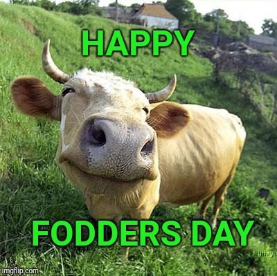 Happy Dad's day to all the Dads | HAPPY; FODDERS DAY | image tagged in cow,fathers day | made w/ Imgflip meme maker