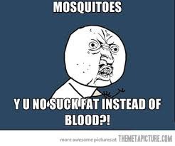 Mosquitoes  | image tagged in mosquitoes | made w/ Imgflip meme maker