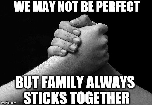 WE MAY NOT BE PERFECT; BUT FAMILY ALWAYS STICKS TOGETHER | image tagged in family,blood | made w/ Imgflip meme maker