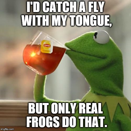 But That's None Of My Business Meme | I'D CATCH A FLY WITH MY TONGUE, BUT ONLY REAL FROGS DO THAT. | image tagged in memes,but thats none of my business,kermit the frog | made w/ Imgflip meme maker