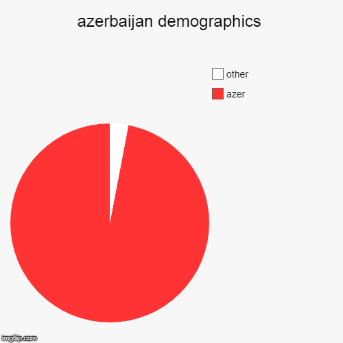 azerbaijan demographics | azer, other | image tagged in pie charts | made w/ Imgflip chart maker
