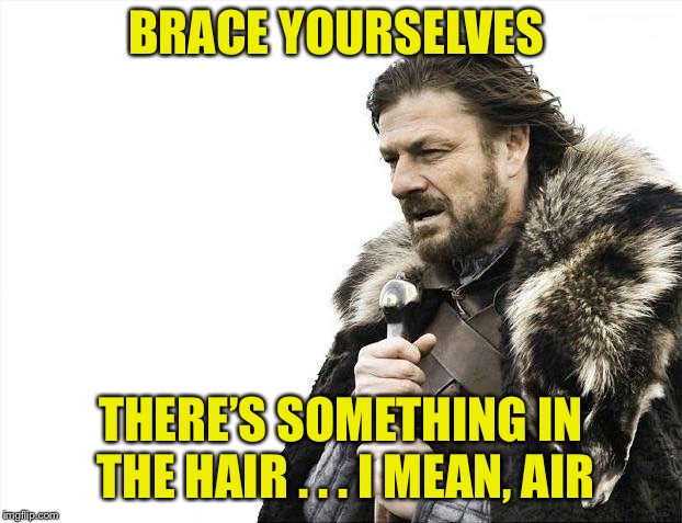 Brace Yourselves X is Coming Meme | BRACE YOURSELVES THERE’S SOMETHING IN THE HAIR . . . I MEAN, AIR | image tagged in memes,brace yourselves x is coming | made w/ Imgflip meme maker