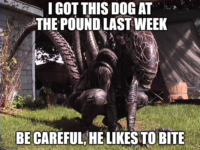 Aliens Week 6/12-6/19 - Beware of Dog | I GOT THIS DOG AT THE POUND LAST WEEK; BE CAREFUL, HE LIKES TO BITE | image tagged in memes,alien week,aliens,alien | made w/ Imgflip meme maker
