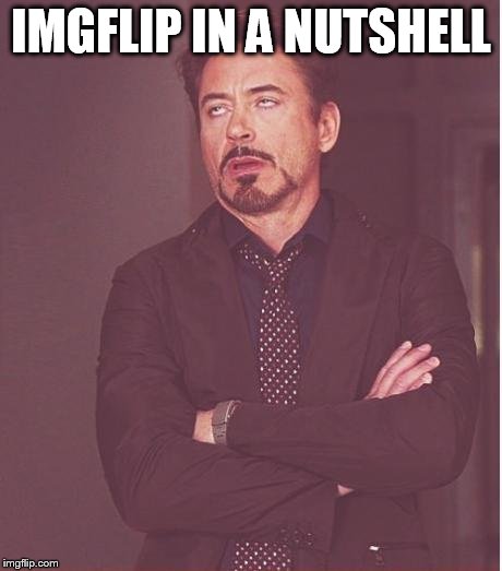 Face You Make Robert Downey Jr Meme | IMGFLIP IN A NUTSHELL | image tagged in memes,face you make robert downey jr | made w/ Imgflip meme maker