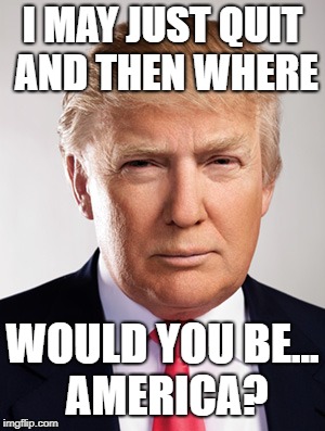 Donald Trump | I MAY JUST QUIT AND THEN WHERE; WOULD YOU BE... AMERICA? | image tagged in donald trump | made w/ Imgflip meme maker