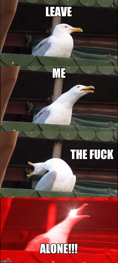 Me when I want to be left alone | LEAVE; ME; THE FUCK; ALONE!!! | image tagged in memes,inhaling seagull | made w/ Imgflip meme maker