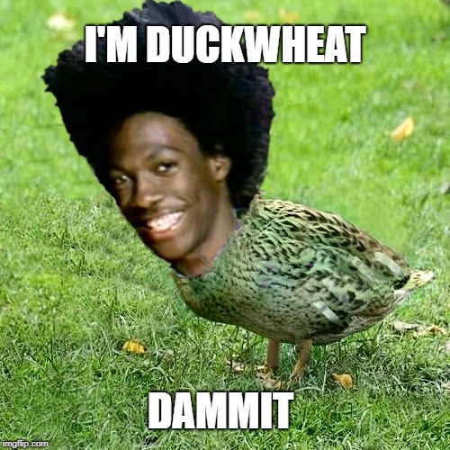 And I'm Whooken Fo Food | I'M DUCKWHEAT; DAMMIT | image tagged in duckwheat,duck wheat,dammit jim,snl skit,nite live,memes | made w/ Imgflip meme maker