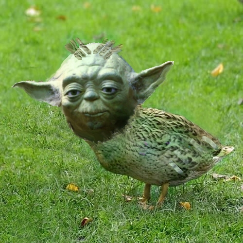 High Quality Yoda Duck Blank Meme Template
