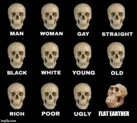 idiot skull | FLAT EARTHER | image tagged in idiot skull | made w/ Imgflip meme maker