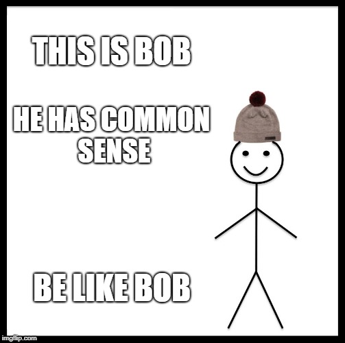 Be Like Bill | THIS IS BOB; HE HAS COMMON SENSE; BE LIKE BOB | image tagged in memes,be like bill | made w/ Imgflip meme maker
