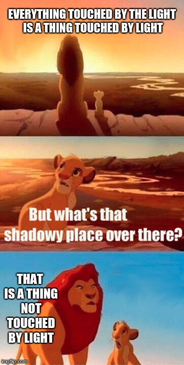 Simba Shadowy Place Meme | EVERYTHING TOUCHED BY THE LIGHT IS A THING TOUCHED BY LIGHT; THAT IS A THING NOT TOUCHED BY LIGHT | image tagged in memes,simba shadowy place | made w/ Imgflip meme maker
