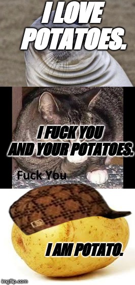 potatoes are cool. | I LOVE POTATOES. I FUCK YOU AND YOUR POTATOES.                                                                                         I AM POTATO. | image tagged in memes | made w/ Imgflip meme maker