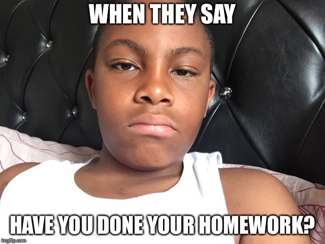 WHEN THEY SAY; HAVE YOU DONE YOUR HOMEWORK? | image tagged in why bro | made w/ Imgflip meme maker