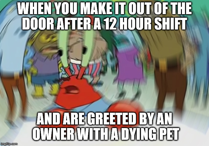 Mr Krabs Blur Meme Meme | WHEN YOU MAKE IT OUT OF THE DOOR AFTER A 12 HOUR SHIFT; AND ARE GREETED BY AN OWNER WITH A DYING PET | image tagged in memes,mr krabs blur meme | made w/ Imgflip meme maker