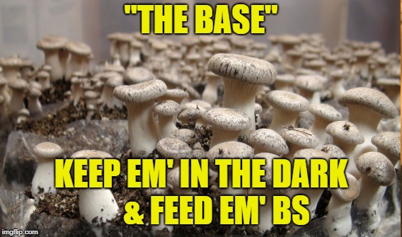 Trump's Sheeple | "THE BASE"; KEEP EM' IN THE DARK     & FEED EM' BS | image tagged in trump,sheeple | made w/ Imgflip meme maker