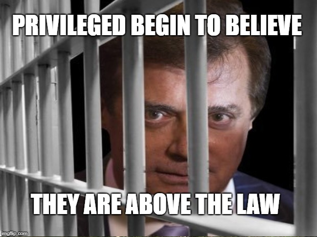 Not Above the Law? | PRIVILEGED BEGIN TO BELIEVE; THEY ARE ABOVE THE LAW | image tagged in manafort,serial criminal | made w/ Imgflip meme maker
