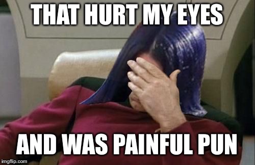 Mima facepalm | THAT HURT MY EYES AND WAS PAINFUL PUN | image tagged in mima facepalm | made w/ Imgflip meme maker