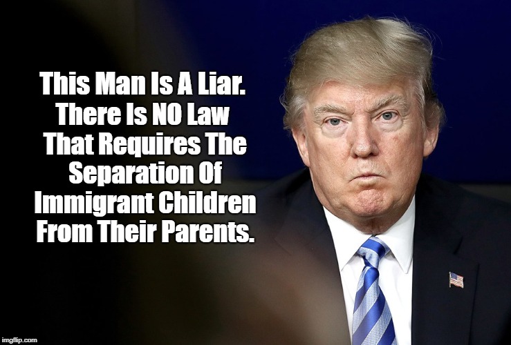 This Man Is A Liar. There Is NO Law That Requires The Separation Of Immigrant Children From Their Parents. | made w/ Imgflip meme maker