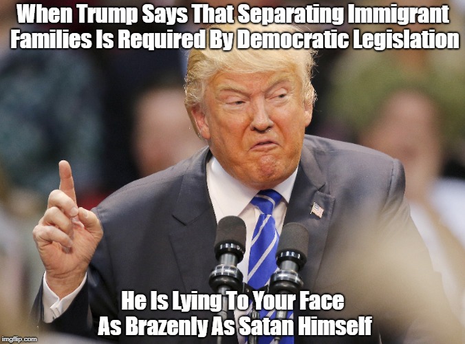 When Trump Says That Separating Immigrant Families Is Required By Democratic Legislation He Is Lying To Your Face As Brazenly As Satan Himse | made w/ Imgflip meme maker