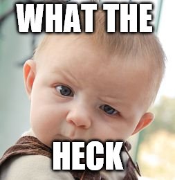 Skeptical Baby | WHAT THE; HECK | image tagged in memes,skeptical baby | made w/ Imgflip meme maker