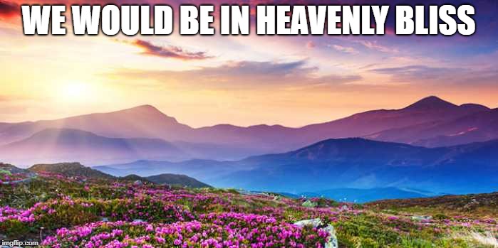 WE WOULD BE IN HEAVENLY BLISS | made w/ Imgflip meme maker