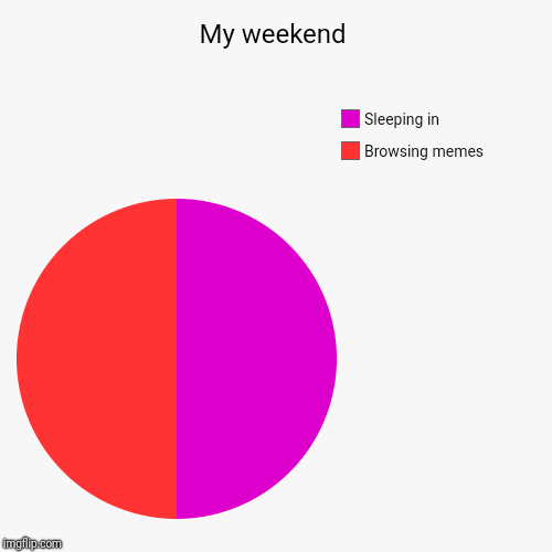 My weekend | Browsing memes, Sleeping in | image tagged in funny,pie charts | made w/ Imgflip chart maker