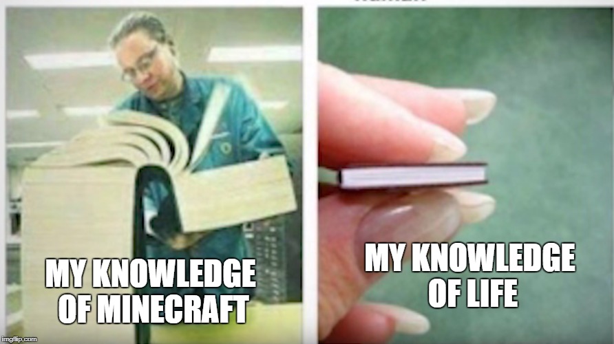 My Knowledge | MY KNOWLEDGE OF LIFE; MY KNOWLEDGE OF MINECRAFT | image tagged in memes | made w/ Imgflip meme maker